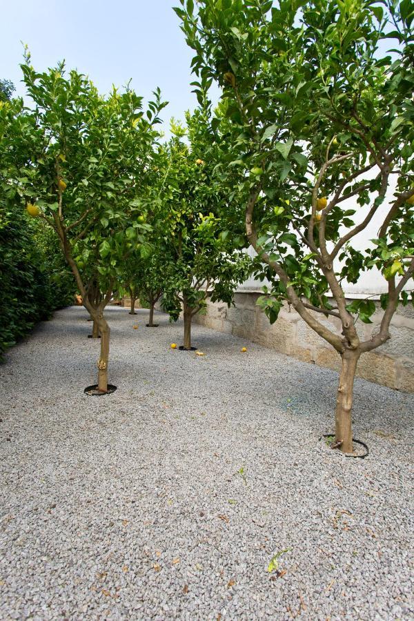 Boutique Rentals- Hidden Garden Porto'S Downtown Exterior foto